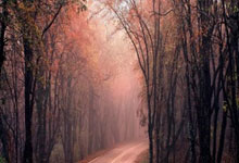 NG体育:全运资格赛,张常宁再成耀眼明星!颜值高有实力让她收获众多粉丝.