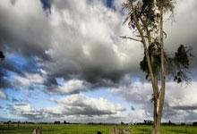 NG体育:韩国媒体爆料北京女排不让张宇邓忻朋再出国!俱乐部才是留洋障碍.