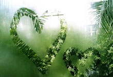 NG体育:韩国媒体爆料北京女排不让张宇邓忻朋再出国!俱乐部才是留洋障碍.