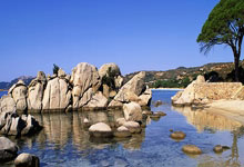 2025年“青少年公益年会杯”大湾区棒垒球邀请赛开赛3-24 15:44.